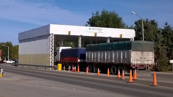 Senasa secuestró 225 kilos de carne que llegaba desde La Pampa
