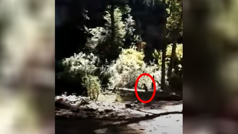 Viral: graban la aparición de un duende en Bariloche