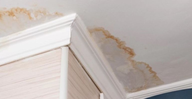 Al mudarse al departamento, se constataron serios problemas de filtraciones de humedad que fueron avisados a la inmobiliaria.