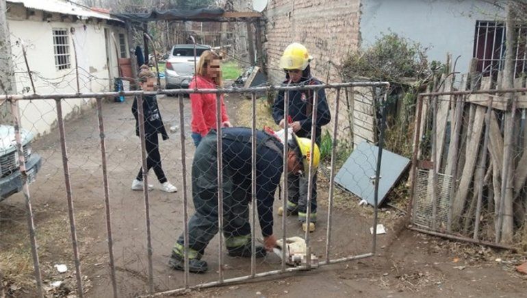 Por un problema en el pilar, se electrificó su reja y mató a su perrita