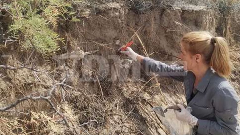 Encontraron restos humanos de más de 2 mil años de antigüedad en Playas Doradas
