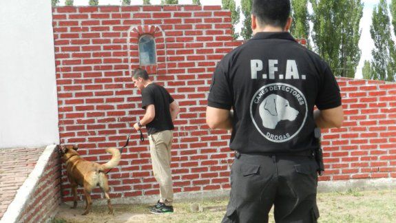 Se trabajó en forma intensa con los perros y se aplicaron diversos métodos.