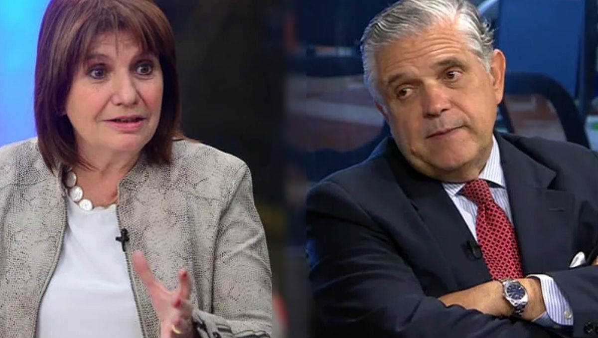 Bullrich y López Murphy denunciaron a los mapuches por terroristas