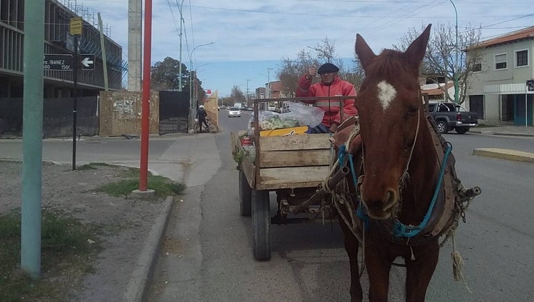 El temor del gaucho de 83 años que sale a laburar a caballo
