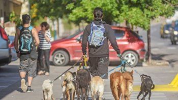 ataco a punaladas a un paseador de perros en barrio union de mayo