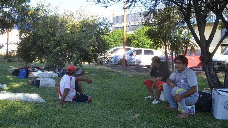 Algunos golondrinas consiguieron trabajo