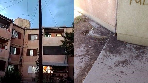 Los murciélagos volvieron al barrio Bogotá 