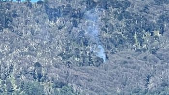 otra vez fuego: detectaron un nuevo foco de incendio en el parque nacional lanin