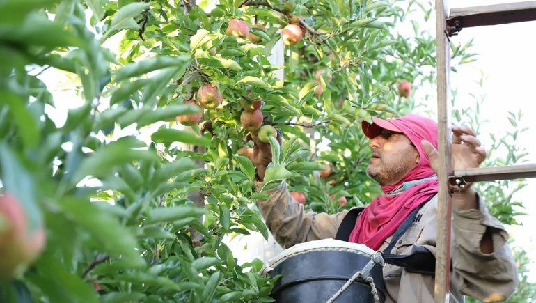 La cosecha de frutas est&aacute; llegando a su fin. Los resultados han sido positivos. Se esperan buenos precios y no se considera que sea necesaria una nueva devaluaci&oacute;n.