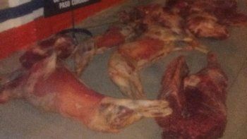 decomisaron 260 kilos de carne y los donaron a una protectora 
