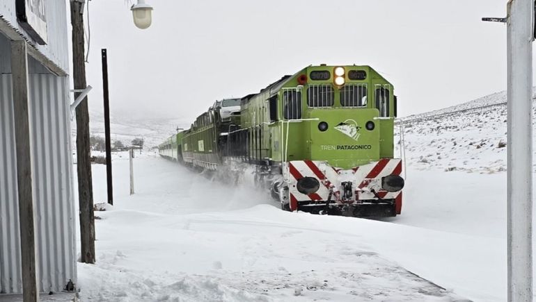 El Tren Patagónico habilita las venta de pasajes para agosto.