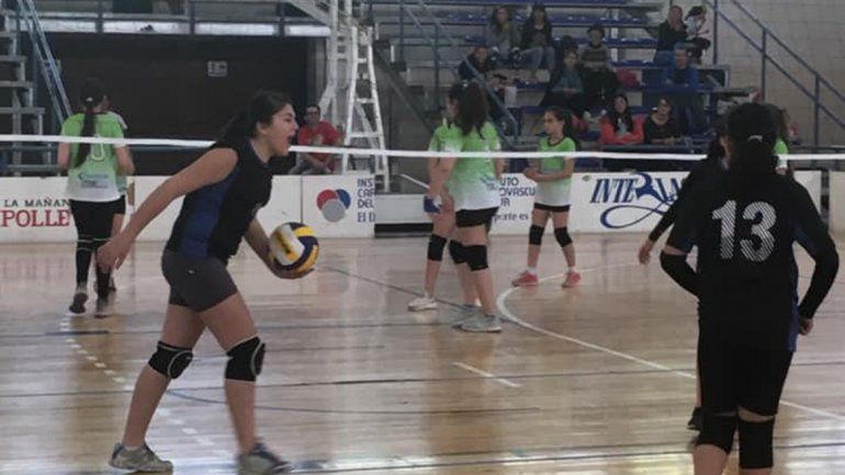 Alerta: suspendieron todas las actividades municipales en Cipolletti