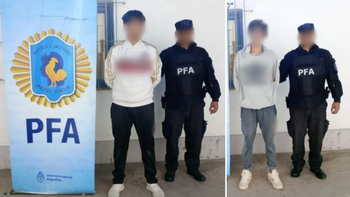 Se incautaron 52 plantas de marihuan en floración, con un peso total que superaba los 30 kilos.