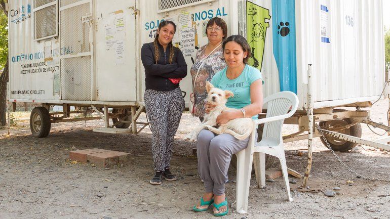 Se hacen diez castraciones por día