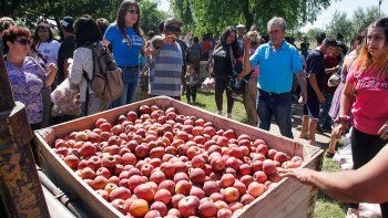 En noviembre, Carlos Carrascós, productores y militantes sociales repartieron gratis manzanas para visibilizar el plan de frutas contra el hambre.