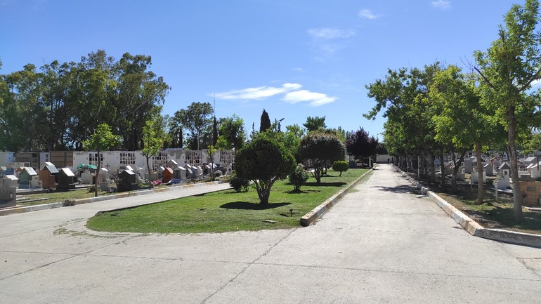 Auka iba al cementerio a buscar a su dueño. Foto ilustrativa.