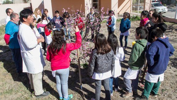Melillán tiene a su cargo cursos de quinto grado, pero además de matemáticas y ciencias, trabaja con los chicos en proyectos comunitarios en el Pichi Nahuel para generar sentido de pertenencia.&nbsp;