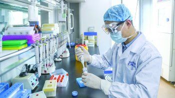 se registraron 10 nuevas muertes por covid-19 en el pais