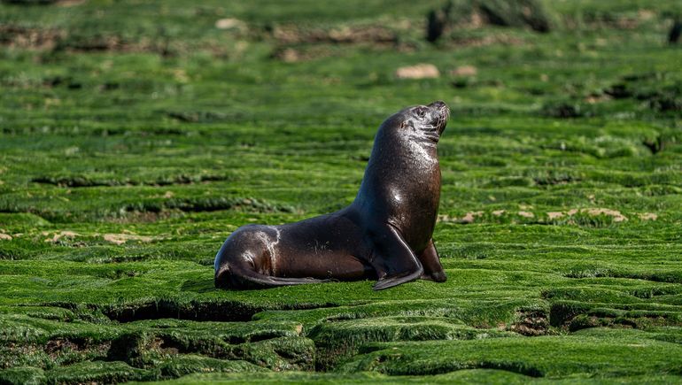 Foto: Matías Acuña.