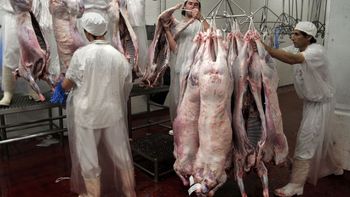 patagonia: grupo benetton pasa a controlar el 70% de carne ovina