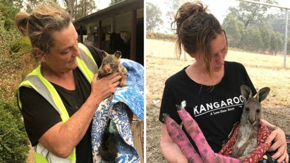 Ya suman casi 500 millones los animales muertos por los incendios