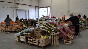 la mega feria de frutas y verduras que arriba a cipolletti: que precios tiene