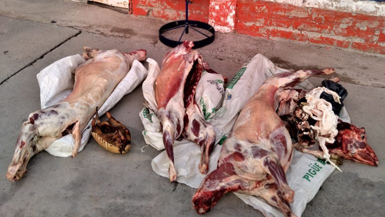 Secuestraron más de 30 kilos de carne faenada en Barda del Medio