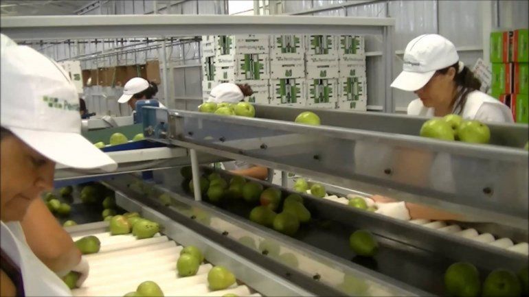 La asistencia ayudaría a mantener el nivel de empleo en los empaques.