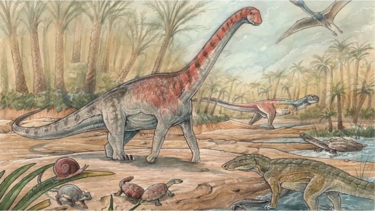 El dinosaurio con enanismo fue descubierto cerca de General Roca.