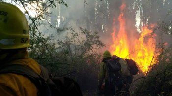 brigadistas rionegrinos combatiran el incendio en el amazonas 