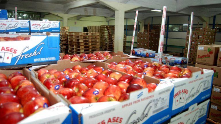 Quieren maximizar la producción y la calidad de la fruta valletana.