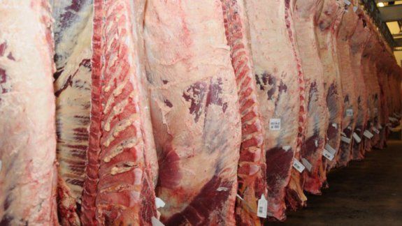 Reforzarán controles en comercios de expendio de carne 