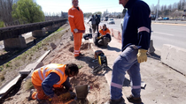 Vialidad Nacional reparó el puente de ruta 22 tras el accidente de tránsito ocurrido con el colectivo de larga distancia.