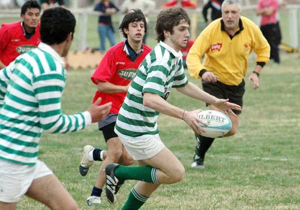 Concentración de M-17 zonales