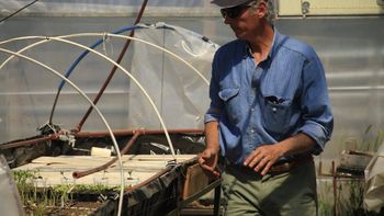 El ingeniero Eduardo Miserendino promueve la frutilla como alternativa productiva regional.
