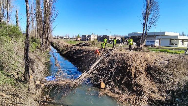 El Municipio anunció un plan de limpieza de árboles y basura en el canal Los Milicos. El Municipio anunció un plan de limpieza de árboles y basura en el canal Los Milicos.