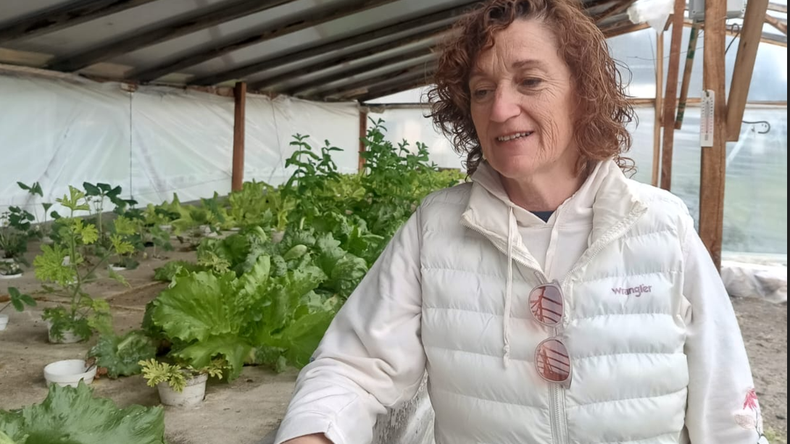 Pasión por la ciencia aplicada: La bióloga e investigadora Andrea Tombari combinó sus conocimientos en química, física y geometría para impulsar las primeras instalaciones acuapónicas de la región.