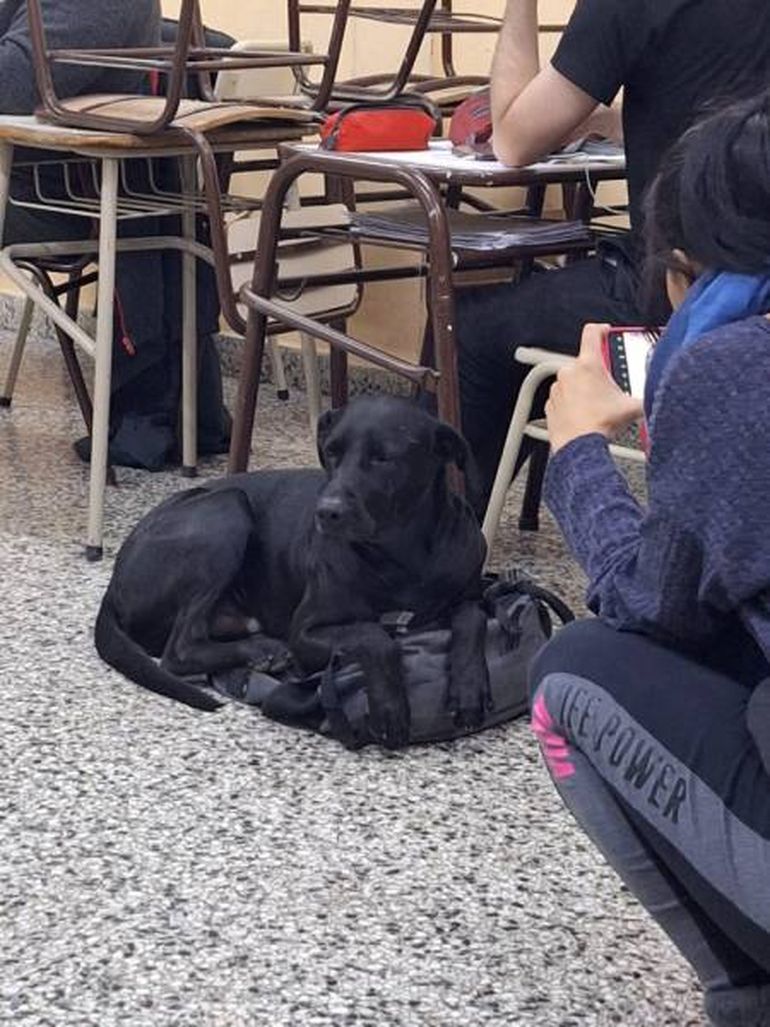 El Negrito, en 