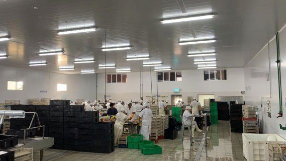 Pescado rionegrino rumbo a Europa