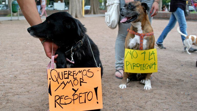 Desde hace años los proteccionistas marchan para reclamar la prohibición de la pirotecnia en la ciudad.