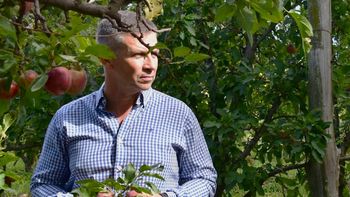 Facundo Fernández, Secretario de Fruticultura de Río Negro, criticó duramente las demoras del Gobierno nacional en la devolución del IVA a las pymes frutícolas, calificando la situación como un atraso de seis meses muy dañino para el sector. | LMCipolletti.com Facundo Fernández, Secretario de Fruticultura de Río Negro, criticó duramente las demoras del Gobierno nacional en la devolución del IVA a las pymes frutícolas, calificando la situación como un atraso de seis meses muy dañino para el sector.