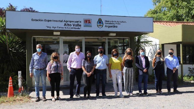 Provincia acompañará el cultivo de cannabis medicinal en el INTA