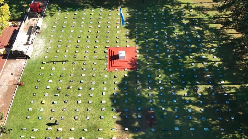 Operativo récord: secuestran casi diez toneladas de marihuana ocultas en un camión