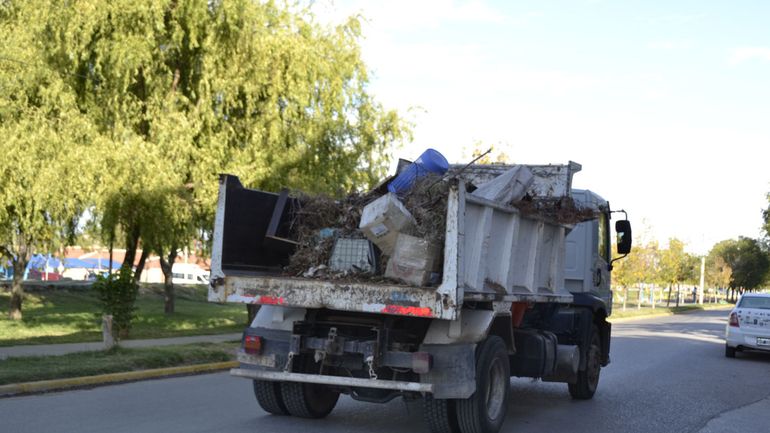 El Cipo Limpia 2026 comenz&oacute; este jueves. Foto: Estefan&iacute;a Petrella.