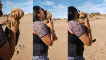termino la agonia para leyla: el emotivo reencuentro con su perrita