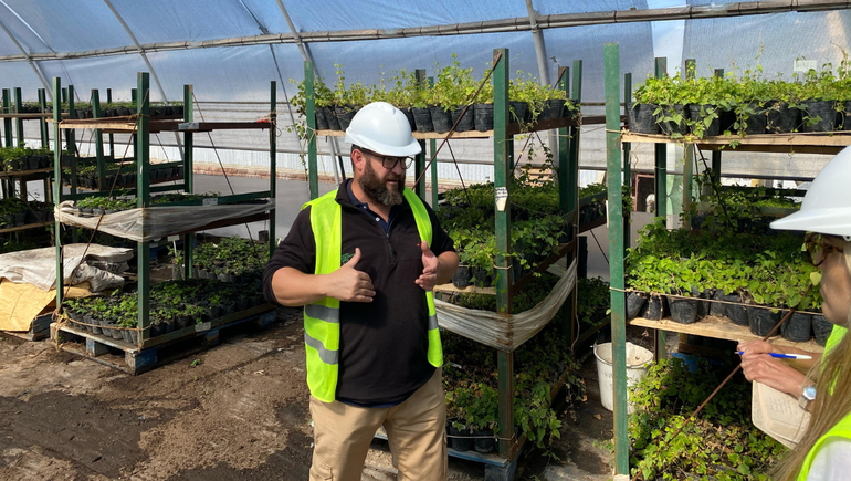 Durante el año, Ingenieros trabajan en la producción de nuevos esquejes de lúpulo para ser plantados.