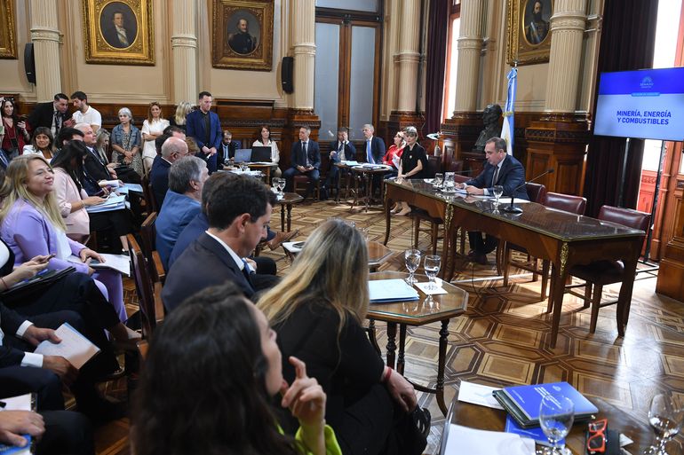 De esta forma, Río Negro se suma a otras provincias con representación. Neuquén lidera los integrantes con dos senadores.