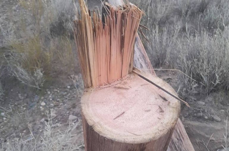 Oro estuvo sin agua por el ataque de la delincuencia, que serruchó un poste de media tensión. Oro estuvo sin agua por el ataque de la delincuencia, que serruchó un poste de media tensión.