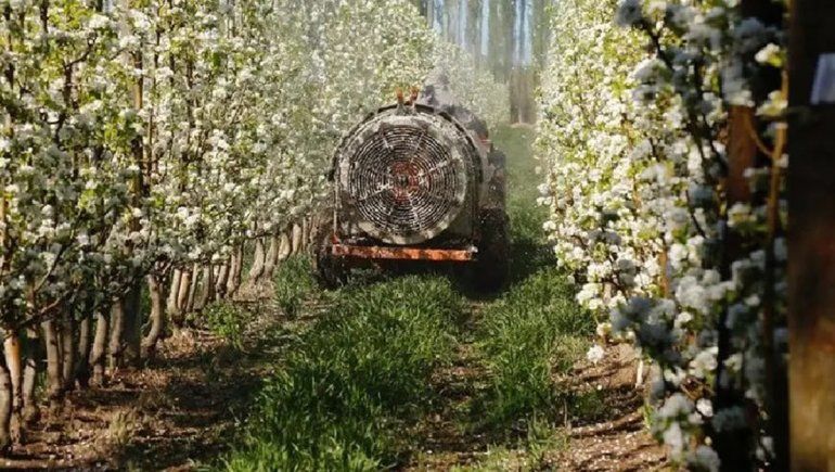 Productores ya pueden acceder a créditos para la compra de agroinsumos