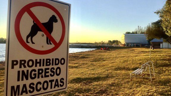 El lugar de la discusión por los perros en la playa de Mari Menuco.